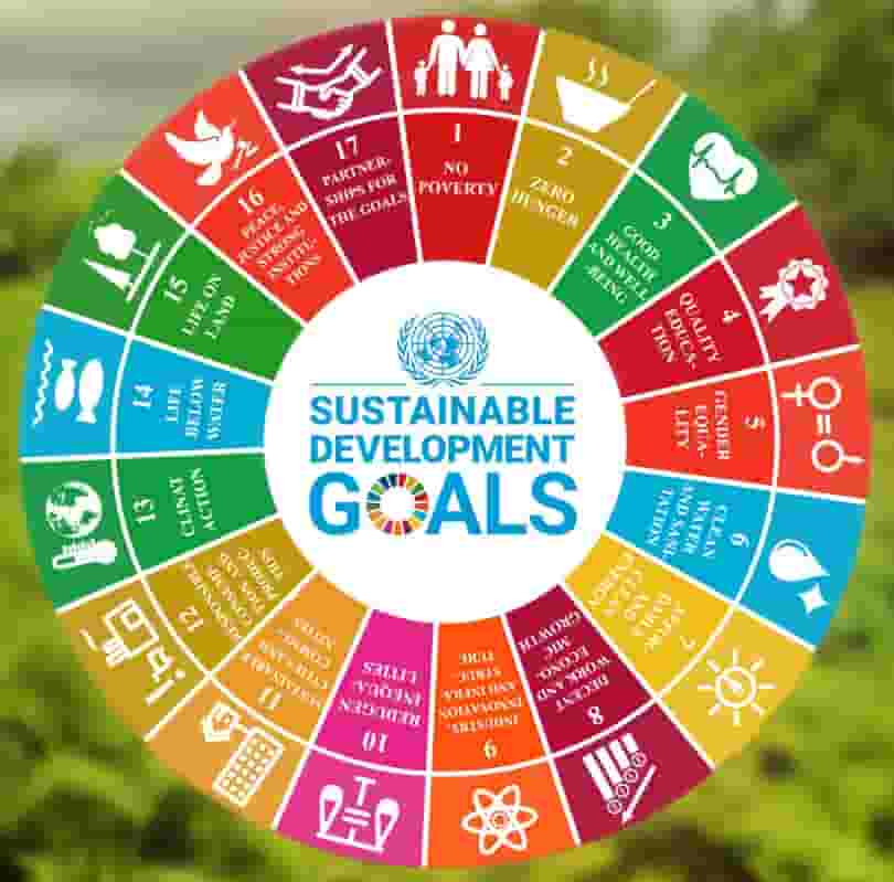 SDG Goals